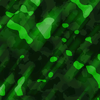 Special Camo CodeGreen.png